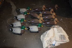 12 Duck Hunting Decoys