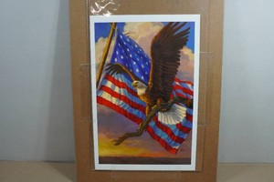 M. Pettis Patriotic Print
