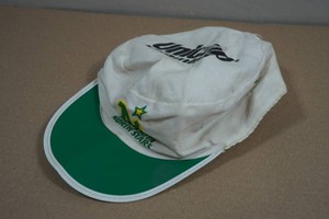 Vintage Minnesota North Starts Hat