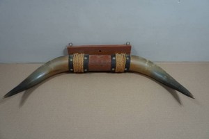 Vintage Wall-Mounted Steer Bull Horns
