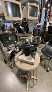 Olympus Microscope (628114)