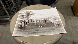 UMN Antique Golfing Photograph (628145)