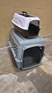 dog carriers