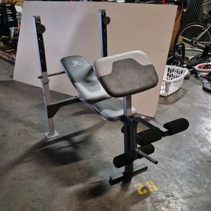 Golds Gym weight bench