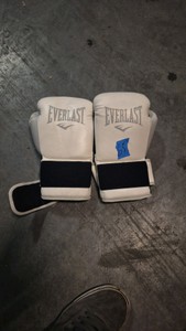 everlasting boxing gloves