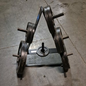 weight plate rack with weights
