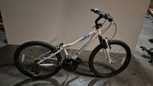 Raleigh bicycle