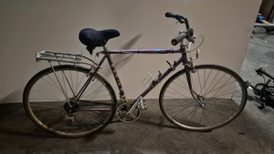 Fuji bicycle