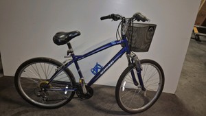 schwinn bicycle