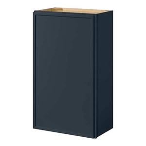 Hampton Bay Leyton 21 in. W x 12 in. D x 36 in. H Ready to Assemble Plywood Slim Shaker Wall Kitchen Cabinet in Ink Blue