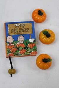MINI Peanuts Its the Great Pumpkin Charlie Brown Book & Pumpkin Decorations