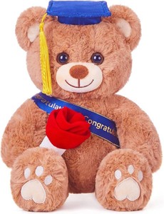 IKASA Graduation Teddy Bear 2026 Stuffed Animal Plush Toy with Cap,11 Soft Present Gift Preschool Kindergarten for Girlfriend (Rose)