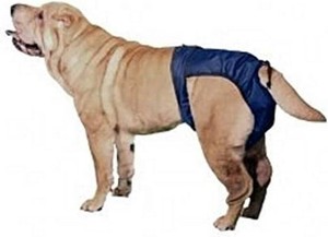 $25 Integrated Pet Solutions SnuggEase Washable Dog Diaper (Pack of 2), Large