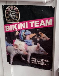 Pigs Eye Bikini Team poster