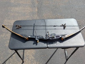 Compound Bow with Wood-Grain Limbs, Sight & Accessories  Archery Bow  As-Is