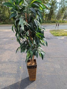 7-Foot Artificial Ficus Tree with Decorative Planter
