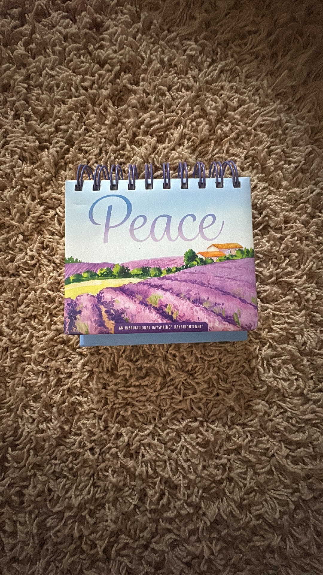 Peace Inspirational Calendar, Reusable Calendar, Can be Use With Any Year, Has Inspirational Phrases in Each Day