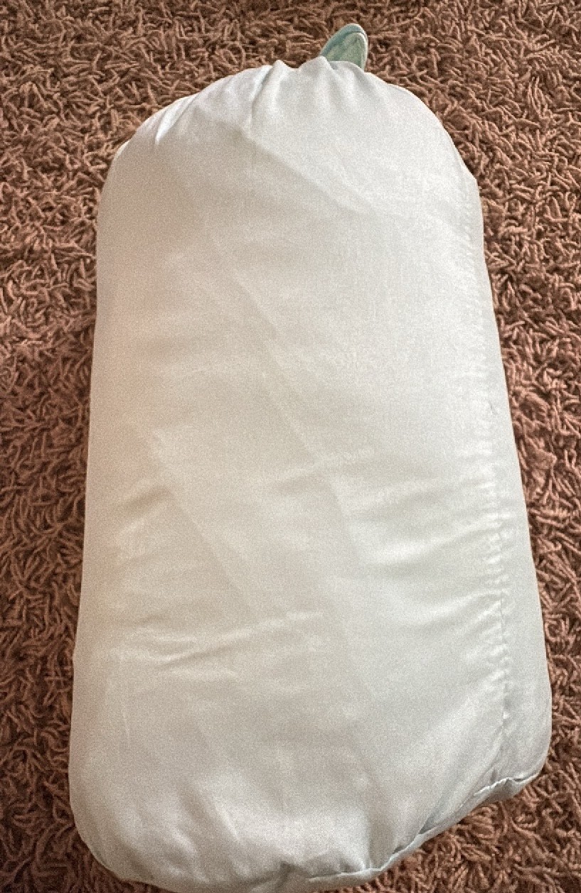 Light Green Sheet Set, Doesnf Specify Size of Bed This Goes to