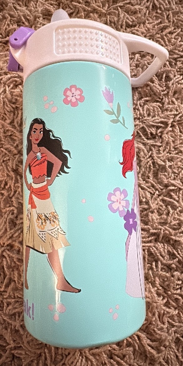Metal Disney Princess Sippy Cup With Screwable Lid, Missing Plastic Cover, But Cup Still Works and Holds Liquid
