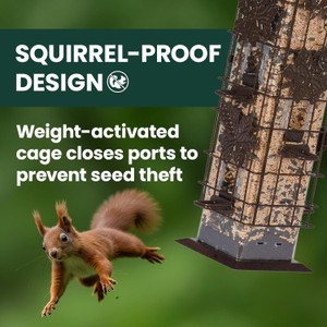 Perky-Pet Squirrel-Be-Gone Bird Feeder, 2 lb Seed Capacity  Weight-Activated Squirrel Proof Bird Feeder, Wild Bird Feeder