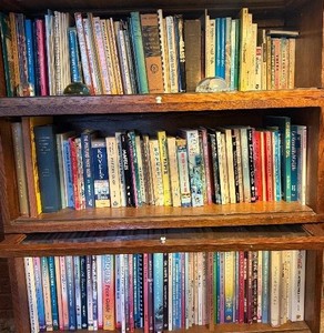 Contents of Bookshelf - Large Lot of Reference Books on Antiques etc
