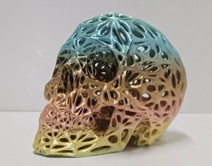 Multi-Colored 3D Printed Scull Display
