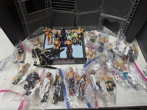 LARGE Collection of Wrestling Action Figures #1