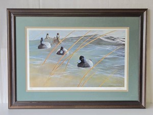 Framed Signed Numbered Wildlife Van Gilder Duck Print&nbsp