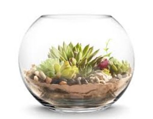 Stylish Glass Bubble Bowl 16   Ideal for Aquariums, Terrariums ...