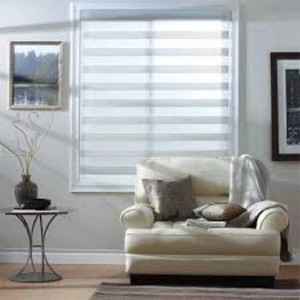 Cordless Sheer Light Filtering Shades  Zebra Elegance 24w x 48L