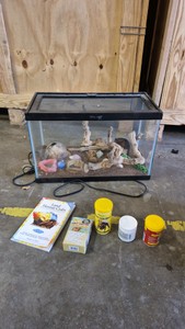 hermit crab tank