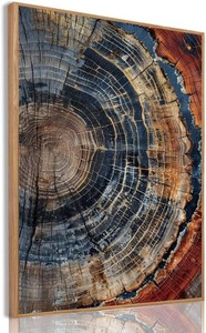 Tree Ring Wall Art Framed, Modern Nature Decor, Easy to Hang 24x36 Inch
