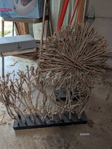 Natural Branch Sculptures - Pair