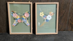 Framed Pressed Flower Botanical Art Panels (Lot of 2)