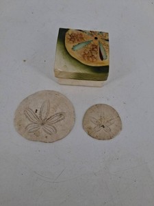 Capiz Shell Box & Sand Dollar Decor, 3-Piece Mixed Lot