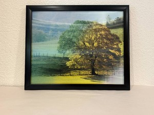 Lenticular Wall Art Print - Landscape Changing Seasons