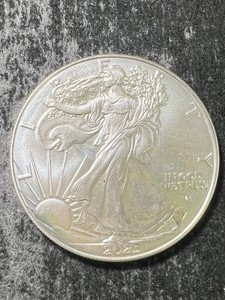 2025 AMERICAN SILVER EAGLE 1 TROY OZ .999 FINE SILVER