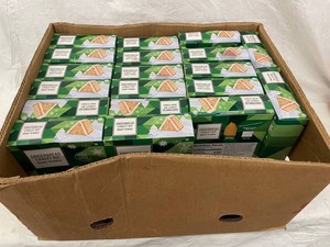 Pagasa Gingerbread Chalet Kits 7.9 Oz (Lot of 20)