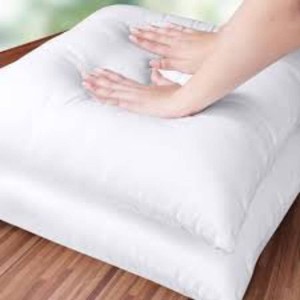 Utopia Bedding Throw Pillows Insert (Pack of 2, White) - 12 ...