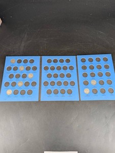Vintage Buffalo Nickel Collection 1913-1938