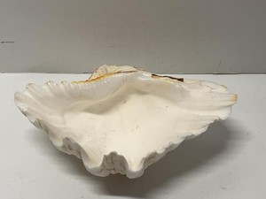 Vintage Large Clam Shell Form Decorative Bowl Coastal Beach House Decor