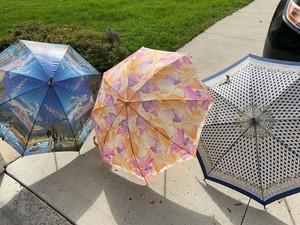 Set of 3 Vintage Print Hook Handle Walking Umbrellas Assorted