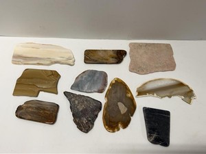 Assorted Polished Stone Slabs Agate Jasper Petrified Wood Display Lot