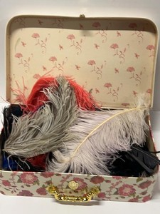 Assorted Millinery Feathers & Floral Picks in Decorative Storage Box