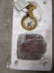 Pocket watch with case