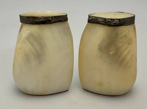 Collectible Seashell Salt And Pepper Shaker Set