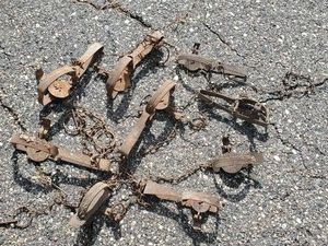8 Victor Animal Traps