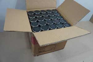 Set of 25 Solar Garden Lights