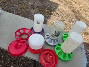 Plastic and Metal Poultry Feeders and Waterers Lot