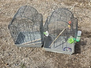 Pair of Bird Cages with Some Accessories